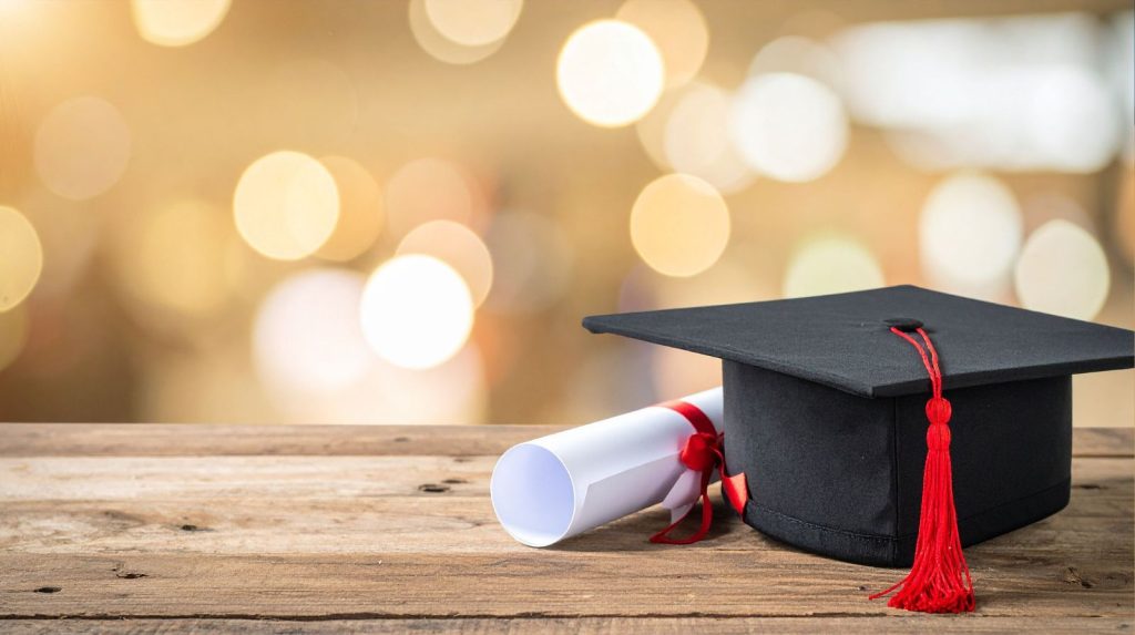 IB Diploma Programme